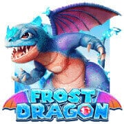 Frost Dragon