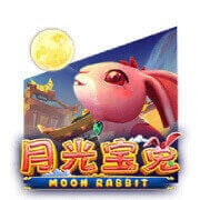 Moon Rabbit