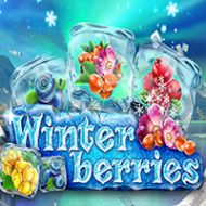 Winterberries